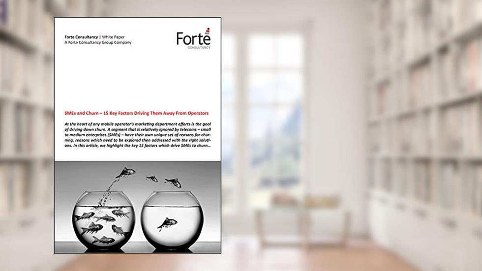 SMEs and Churn - 15 Key Factors Driving Them Away From Operators, written by Forte Consultancy Group