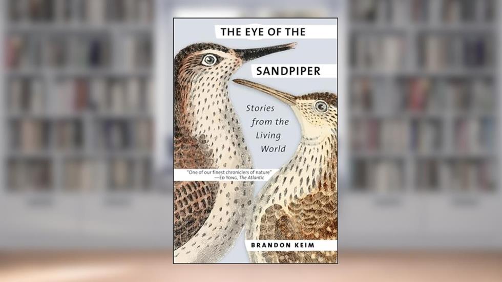 The Eye of the Sandpiper: Stories from the Living World, written by Brandon Keim