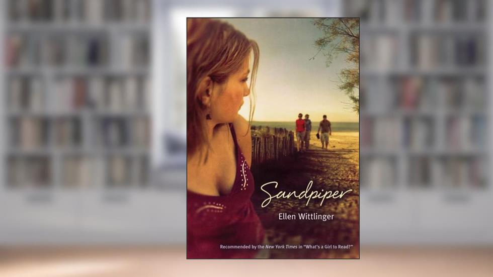 Sandpiper, written by Ellen Wittlinger