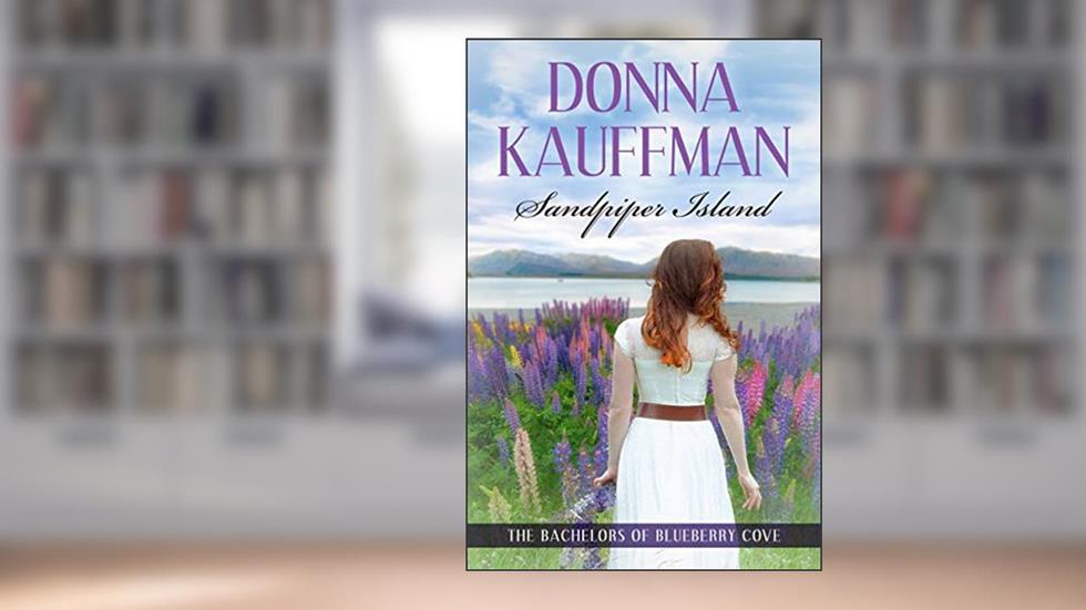Sandpiper Island (The Bachelors Of Blueberry Cove Book 3), written by Donna Kauffman