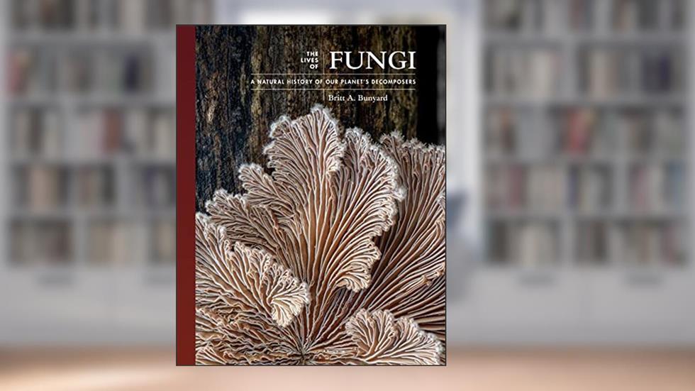 The Lives of Fungi: A Natural History of Our Planet's Decomposers (The Lives of the Natural World), written by Britt A. Bunyard