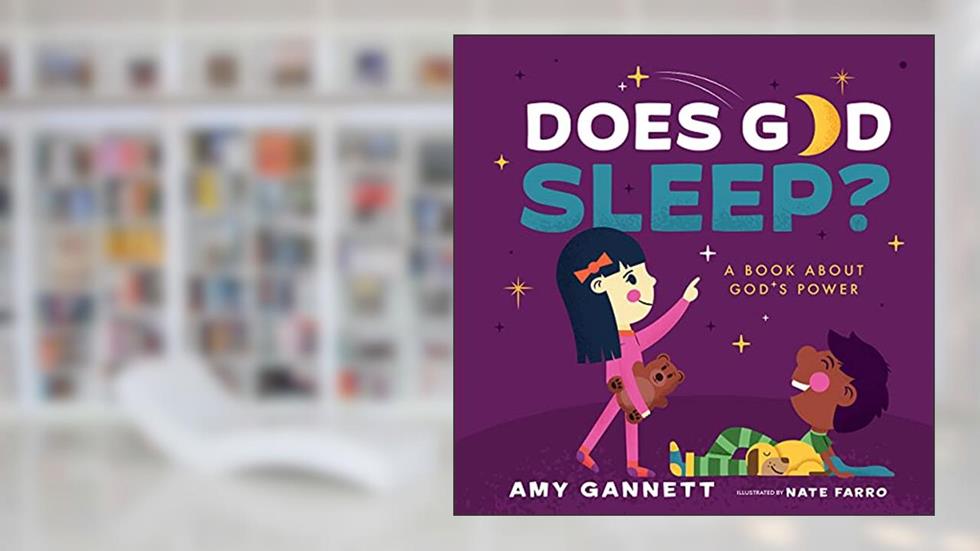 Does God Sleep?: A Book About God's Power (Tiny TheologiansT), written by Amy Gannett