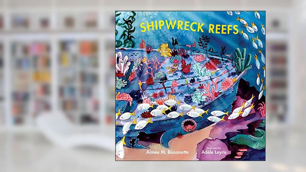 Shipwreck Reefs (Imagine This!), written by Aimée M. Bissonette