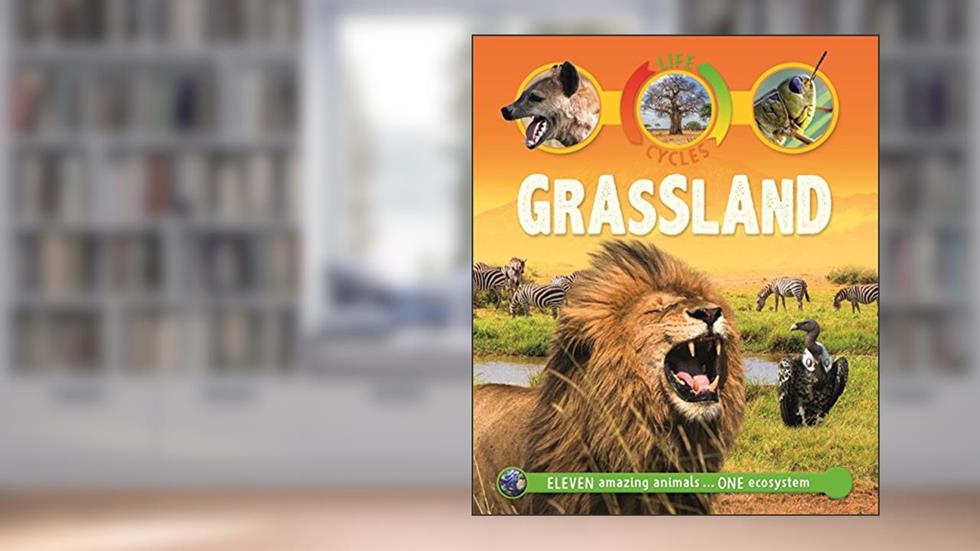 Life Cycles Grassland, written by Sean Callery