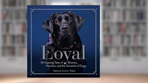 Cover from Loyal: 38 Inspiring Tales of Bravery, Heroism, and the Devotion of Dogs, written by Rebecca Ascher-Walsh