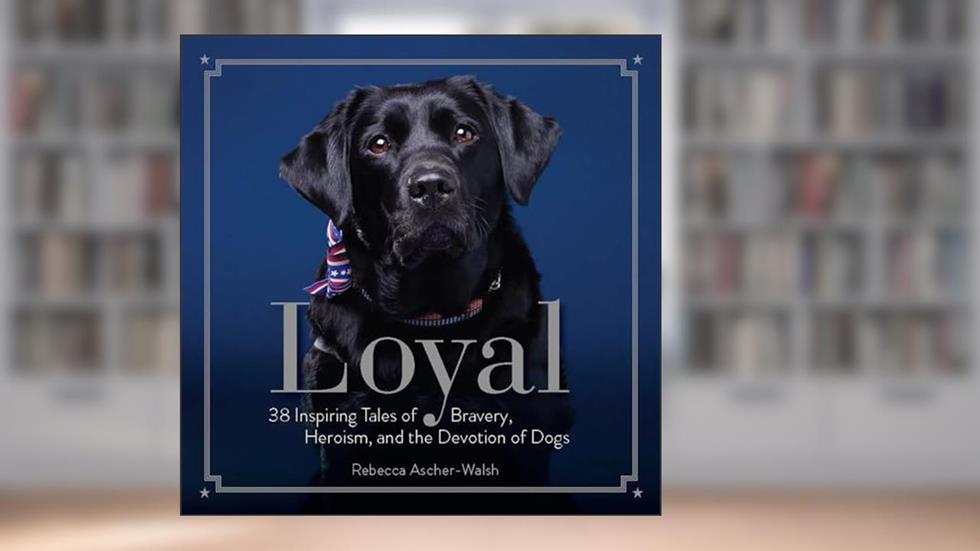 Loyal: 38 Inspiring Tales of Bravery, Heroism, and the Devotion of Dogs, written by Rebecca Ascher-Walsh