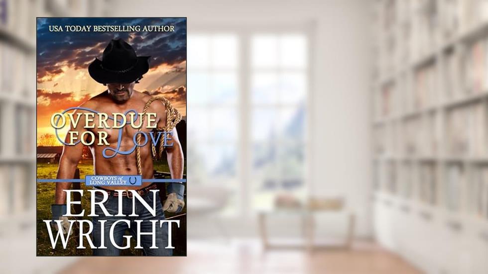 Overdue for Love: A Secret Baby Western Romance (Cowboys of Long Valley Romance Book 6), written by Erin Wright