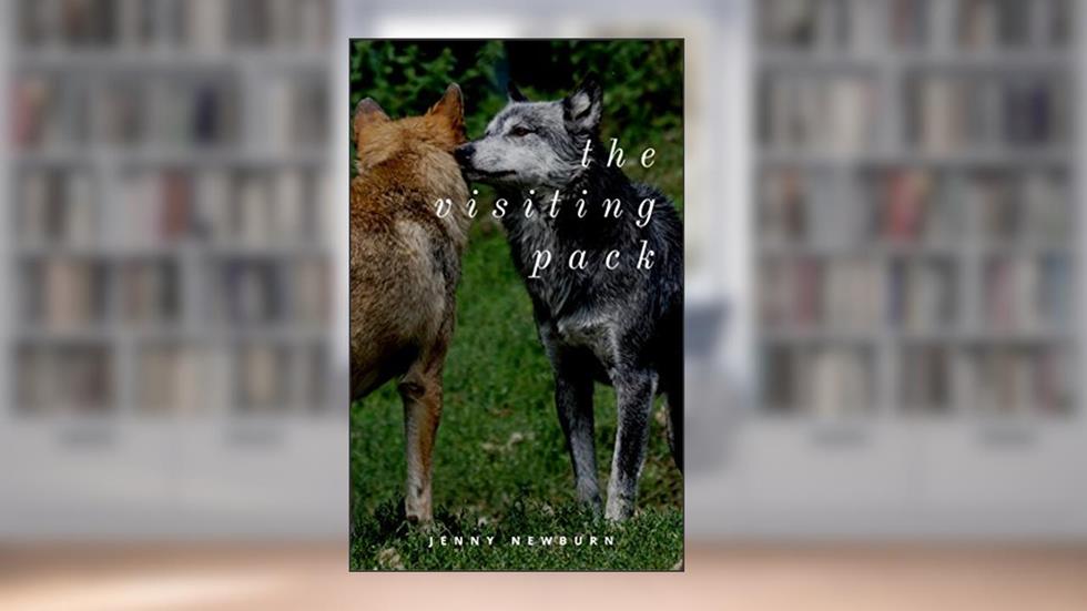The Visiting Pack, written by Jenny Newburn