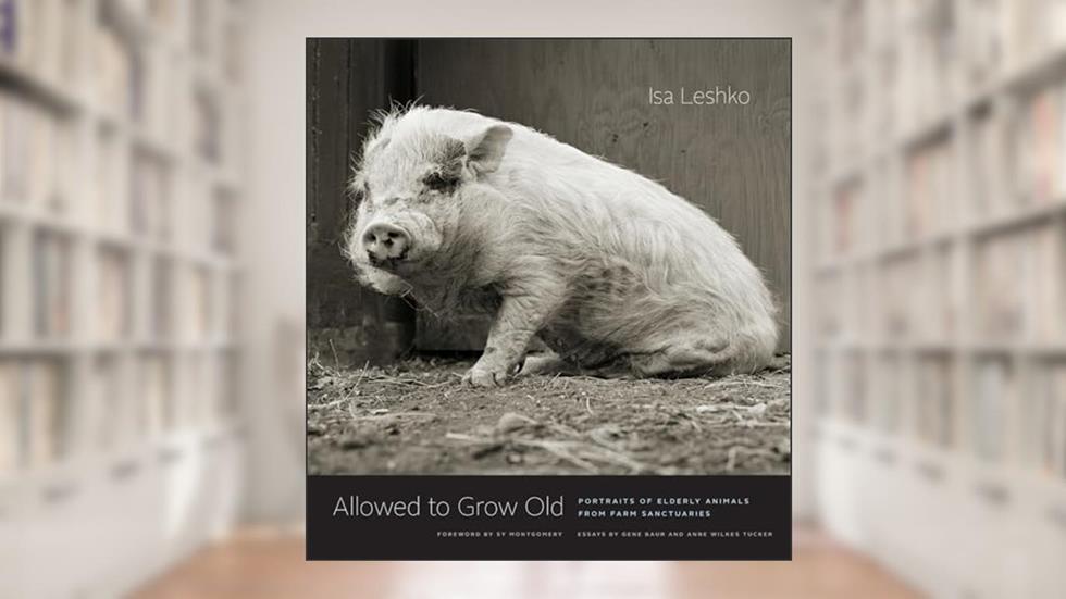 Allowed to Grow Old: Portraits of Elderly Animals from Farm Sanctuaries, written by Isa Leshko; Anne Wilkes Tucker; Gene Baur