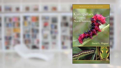 Cover from Caterpillars of Eastern North America: A Guide to Identification and Natural History (Princeton Field Guides), written by David L. Wagner