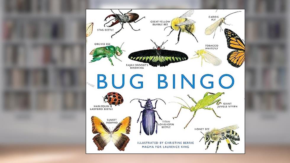Laurence King Bug Bingo, written by Christine Berrie