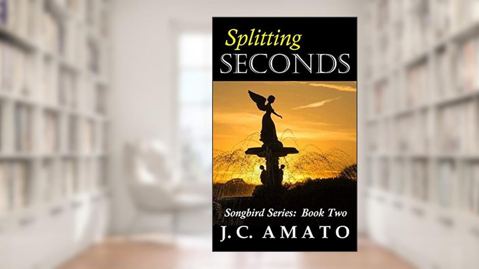 Splitting Seconds: Songbird Series: Book Two, written by J. C. Matheny