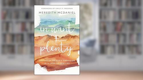 Cover from In Want + Plenty: Waking Up to God's Provision in a Land of Longing, written by McDaniel