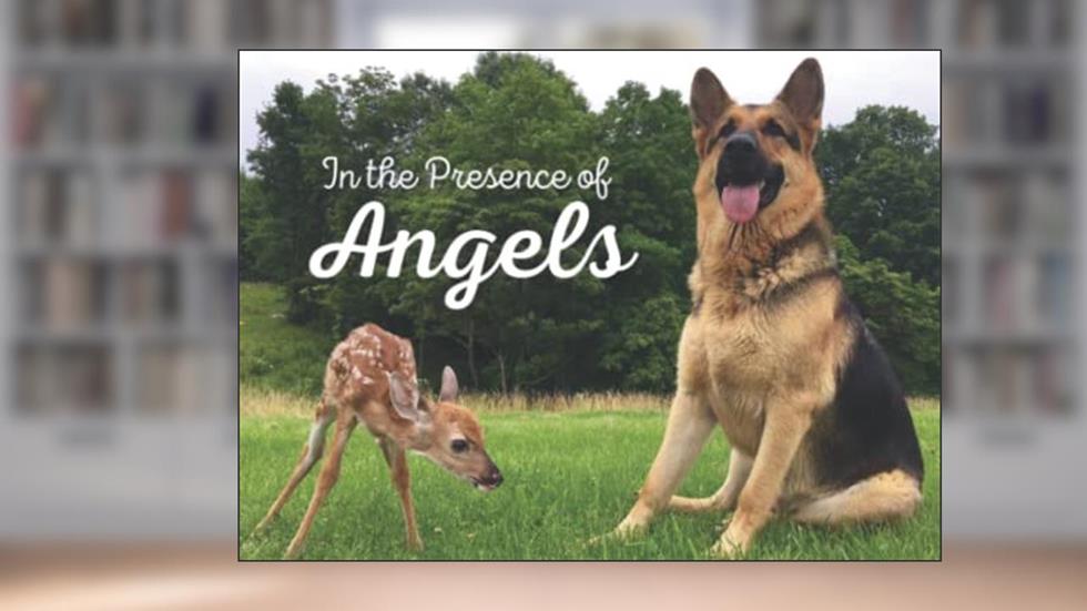 In the Presence of Angels (Bucky's Porch), written by Cheryl Stephen