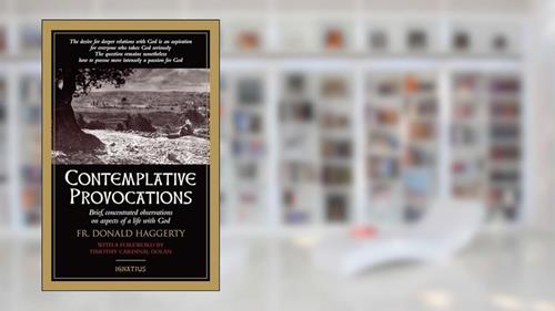 Cover from Contemplative Provocations: Brief, Concentrated Observations on Aspects of a Life with God, written by Fr. Donald Haggerty