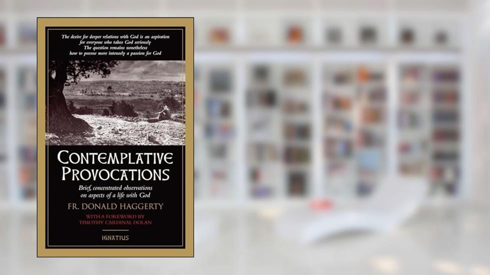 Contemplative Provocations: Brief, Concentrated Observations on Aspects of a Life with God, written by Fr. Donald Haggerty