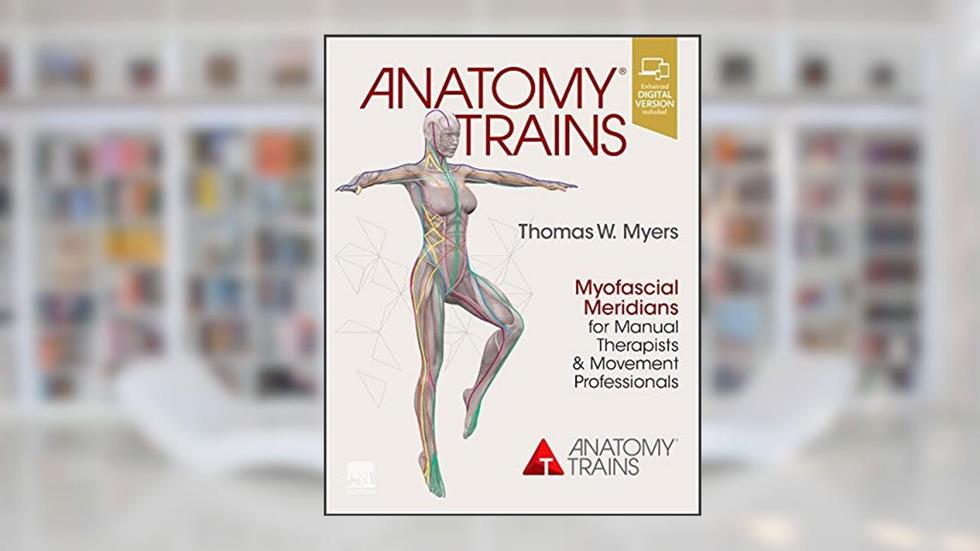 Anatomy Trains: Myofascial Meridians for Manual Therapists and Movement Professionals, written by Thomas W. Myers