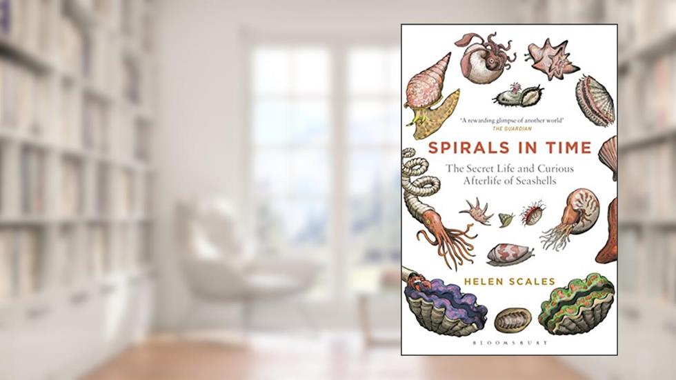 Spirals in Time: The Secret Life and Curious Afterlife of Seashells, written by Helen Scales