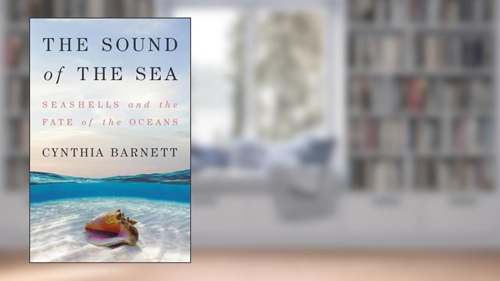 The Sound of the Sea: Seashells and the Fate of the Oceans, written by Cynthia Barnett