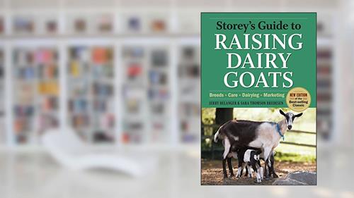 Cover from Storey's Guide to Raising Dairy Goats, 4th Edition: Breeds, Care, Dairying, Marketing, written by Jerry Belanger; Sara Thomson Bredesen