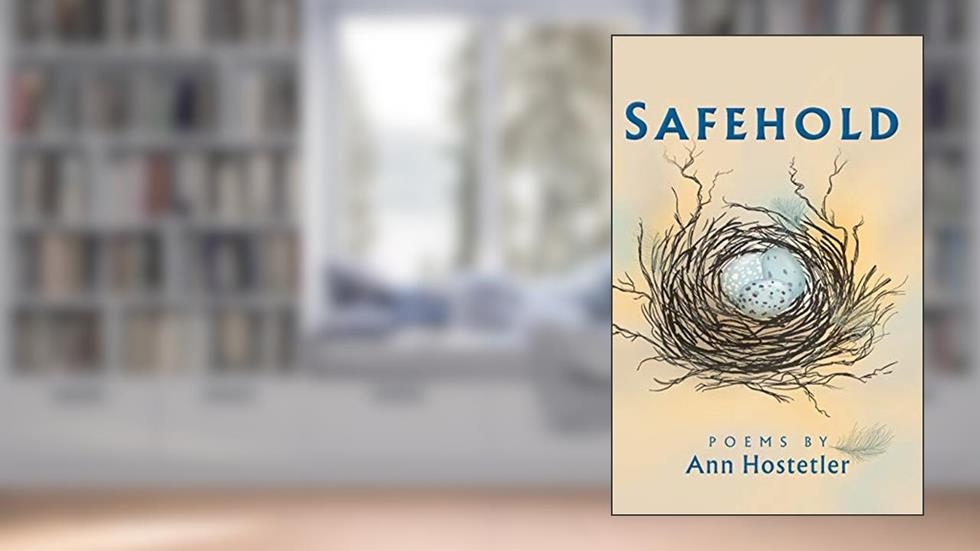 Safehold: Poems (Dreamseeker Poetry), written by Ann Hostetler