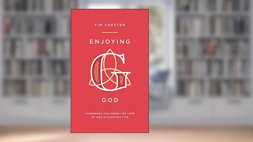Cover from Enjoying God (Personal and spiritual growth. Discipleship. Explore how the Father, the Son and the Spirit relate to us in our day-to-day lives.), written by Tim Chester