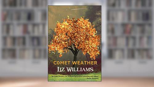 Cover from Comet Weather, written by Liz Williams