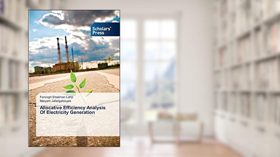 Allocative Efficiency Analysis Of Electricity Generation, written by Foroogh Shadman Lahiji; Maryam Jafarigalooyek