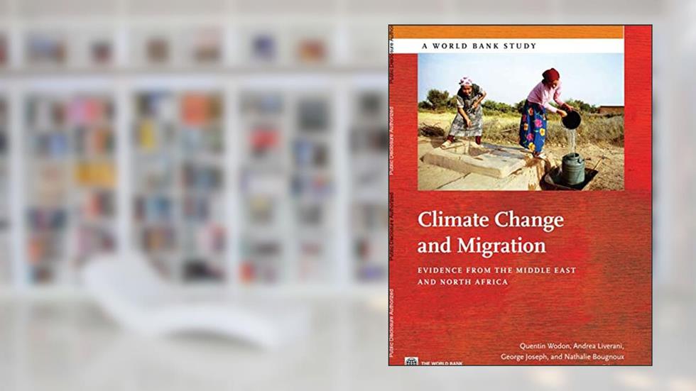 Climate Change and Migration: 287 pages, written by Ian Brice