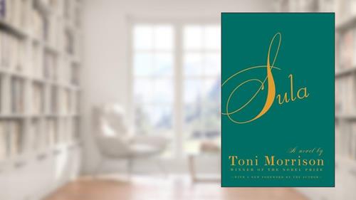 Cover from Sula, written by Toni Morrison