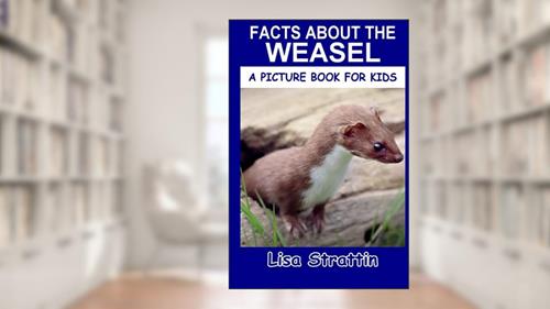 Cover from Facts About the Weasel (A Picture Book For Kids), written by Lisa Strattin
