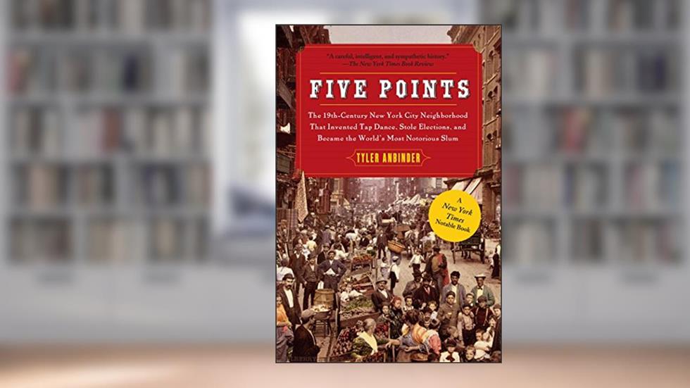 Five Points: The Nineteenth-Century New York City Neighborhood, written by Tyler Anbinder