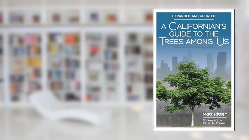A Californian's Guide to the Trees Among Us: Expanded and Updated, written by Matt Ritter