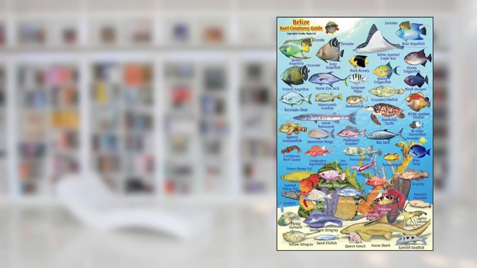 Belize Reef Creatures Waterproof Fish Card 4" x 6", written by Franko Maps Ltd.