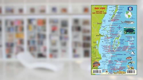 Cover from Belize Dive Map & Reef Creatures Waterproof Fish Card, written by Franko Maps Ltd.