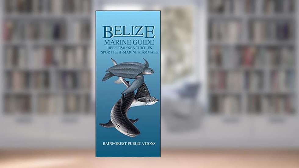 Belize Marine Guide, written by Rainforest Publications