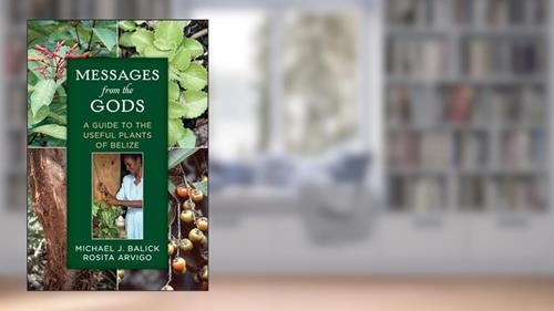 Cover from MESSAGES FROM THE GODS UPDF, written by BALICK