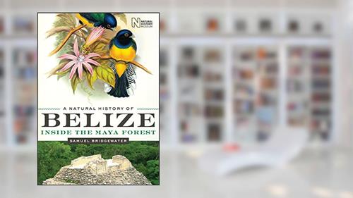 Cover from A Natural History of Belize: Inside the Maya Forest (Corrie Herring Hooks Series Book 52), written by Samuel Bridgewater