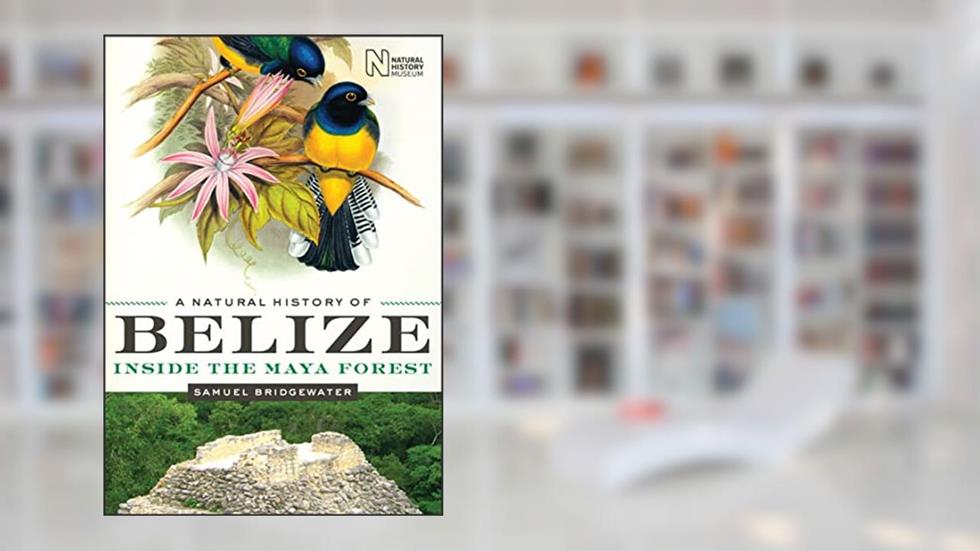 A Natural History of Belize: Inside the Maya Forest (Corrie Herring Hooks Series Book 52), written by Samuel Bridgewater