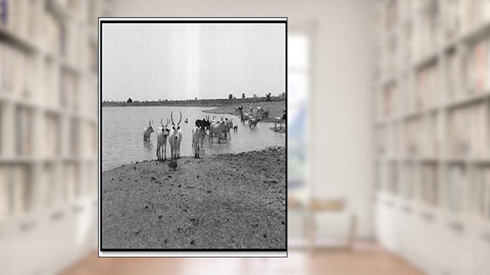 THE KATSINA REGION : Geography, Geology, Mineral Resources and Social Stratification, written by ALIYU IBRAHIM KANKARA