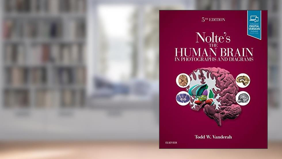 Nolte's The Human Brain in Photographs and Diagrams: With STUDENT CONSULT Online Access, written by Todd W. Vanderah PhD