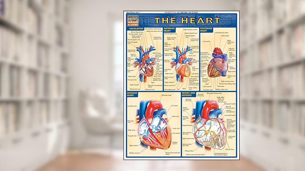 Heart QuickStudy Laminated Reference Guide (QuickStudy Academic), written by Vincent Perez