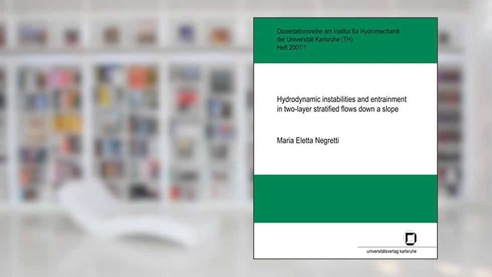 Hydrodynamic instabilities and entrainment in two-layer stratified flows down a slope, written by Maria Eletta Negretti