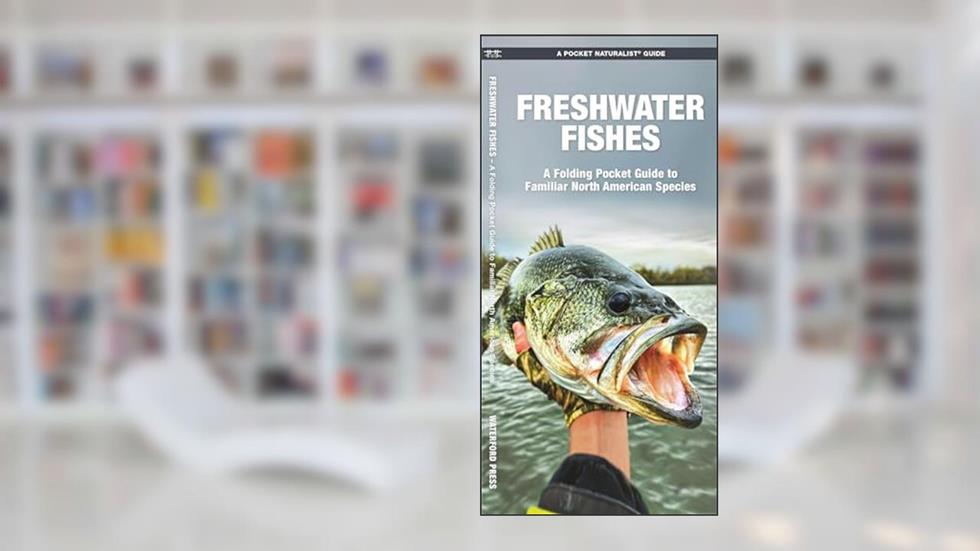 Freshwater Fishes: A Folding Pocket Guide to Familiar North American Species (Nature Observation North America), written by James Kavanagh