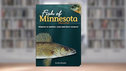 Cover from Fish of Minnesota Field Guide (Fish Identification Guides), written by Dave Bosanko