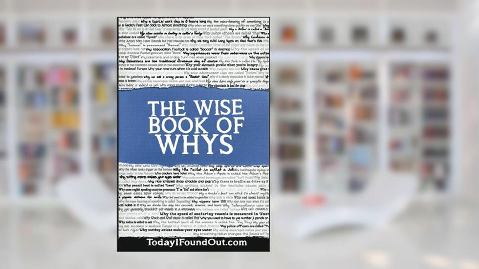 The Wise Book of Whys, written by Daven Hiskey; Today I Found Out.com