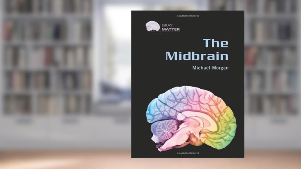 The Midbrain (Gray Matter), written by Michael Morgan