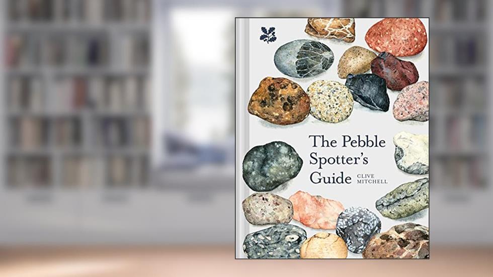 The Pebble Spotter's Guide, written by Clive Mitchell