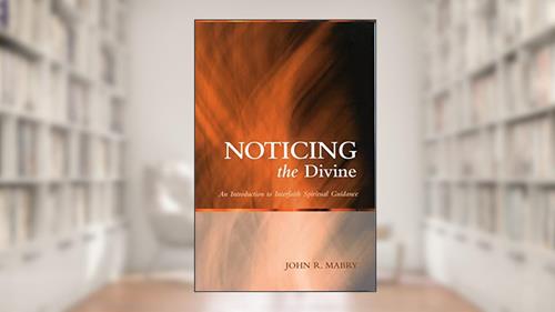Cover from Noticing the Divine: An Introduction to Interfaith Spiritual Guidance (Spiritual Directors International Books), written by John R. Mabry
