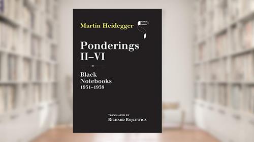 Cover from Ponderings II-VI: Black Notebooks 1931-1938 (Studies in Continental Thought), written by Martin Heidegger